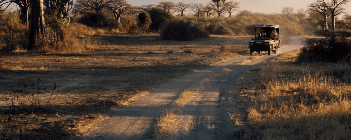 Tanzania Safari from Arusha – Start Your Ultimate African Adventure