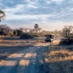 Tanzania Private Safari Tours: Exclusive Wildlife Experiences Tailored for You