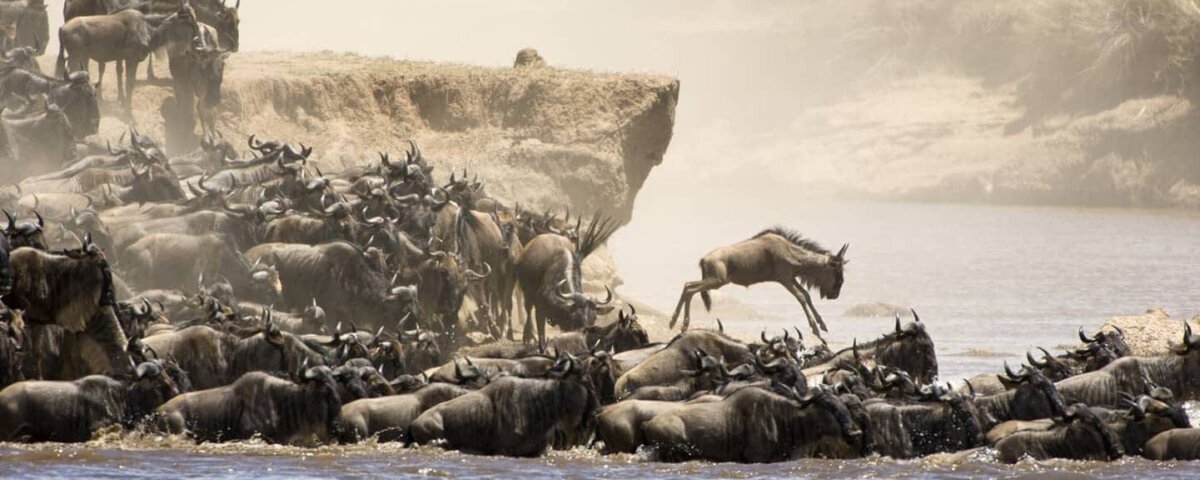 Best Time to Visit Maasai Mara