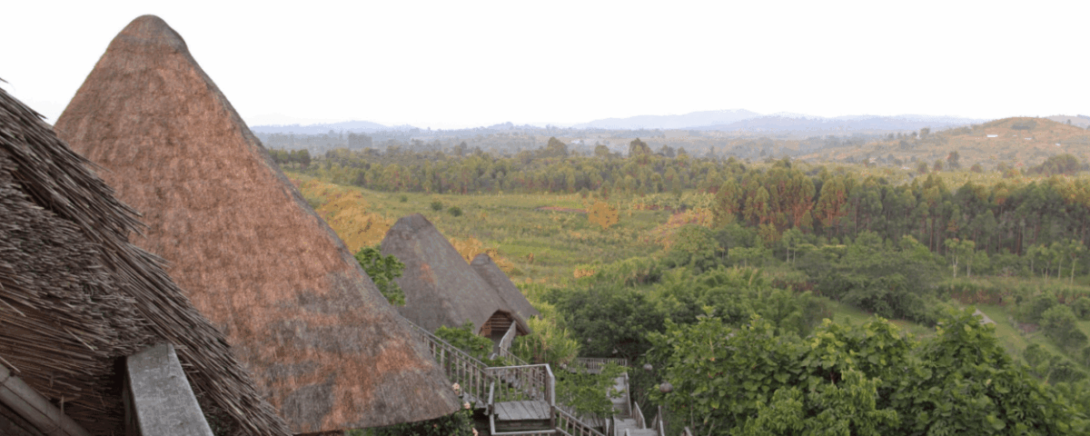 Birdwatching Safaris in Kenya