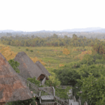 Birdwatching Safaris in Kenya