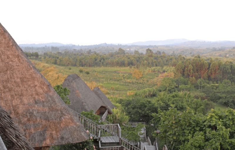 Birdwatching Safaris in Kenya