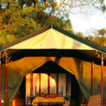 Budget Safaris in Maasai Mara