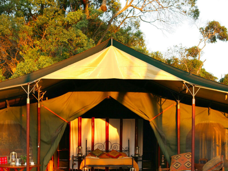 Budget Safaris in Maasai Mara 