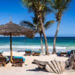 Can You Combine a Kenyan Safari and Beach Holidays?