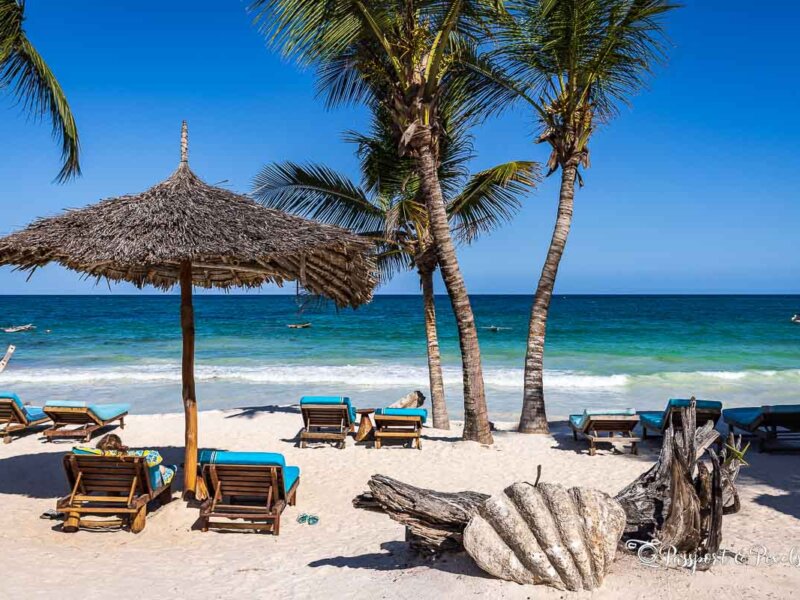 Can You Combine a Kenyan Safari and Beach Holidays?
