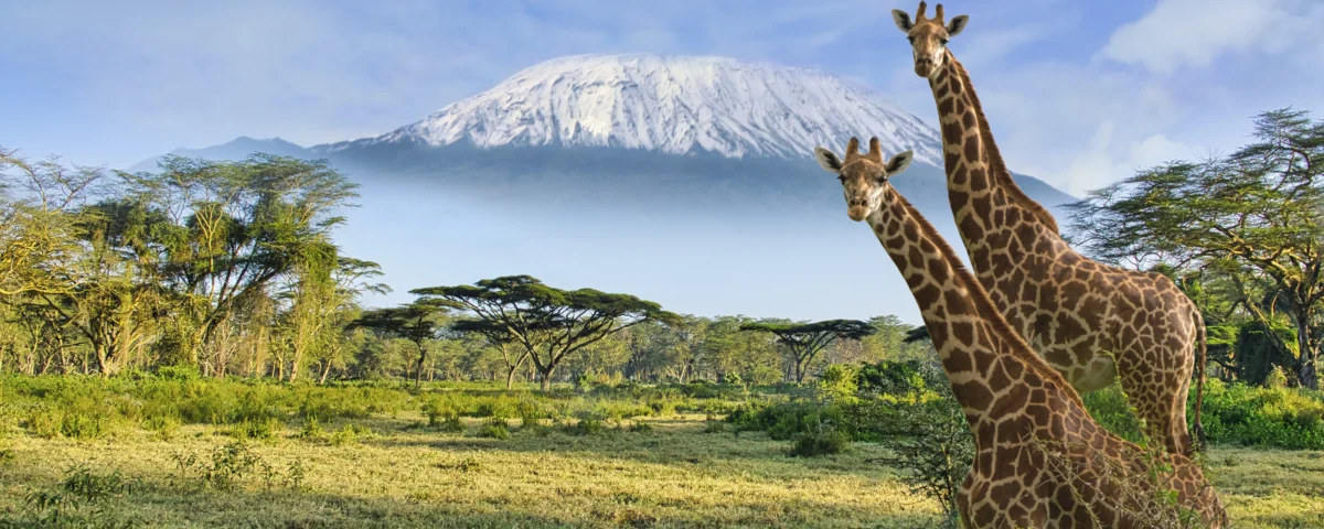 Community-Based Safaris Kenya