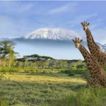 Community-Based Safaris Kenya