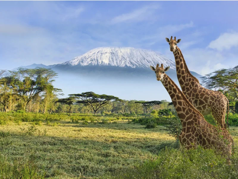 Community-Based Safaris Kenya