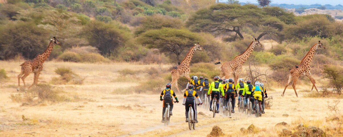 Tanzania Safari for Corporate Retreats