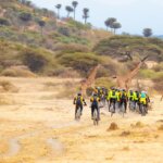 Tanzania Safari for Corporate Retreats