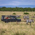 May Tanzania Safari Holidays