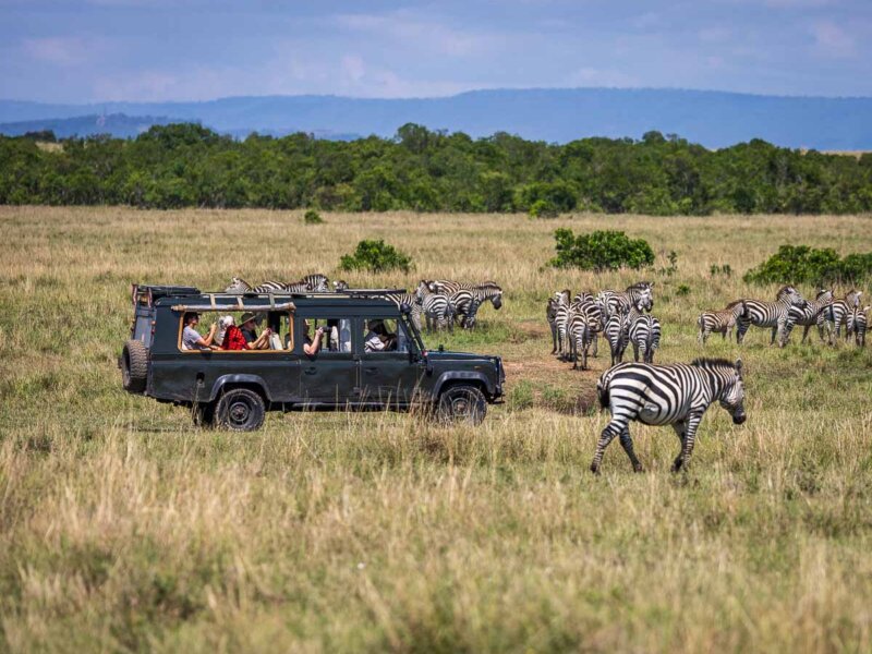 May Tanzania Safari Holidays