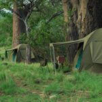 Tanzania Mobile Camping Safaris