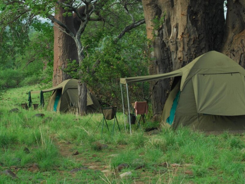 Tanzania Mobile Camping Safaris