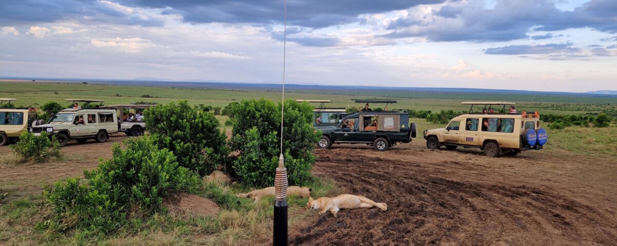 East Africa Combined Safari Packages