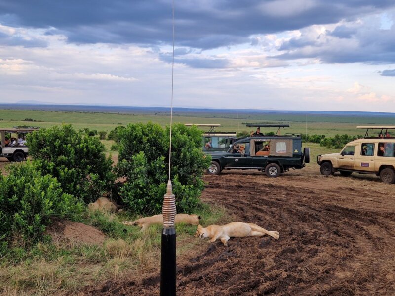 East Africa Combined Safari Packages