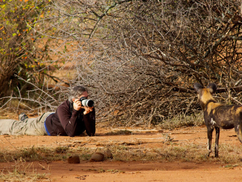 Tanzania Safari for Photographers
