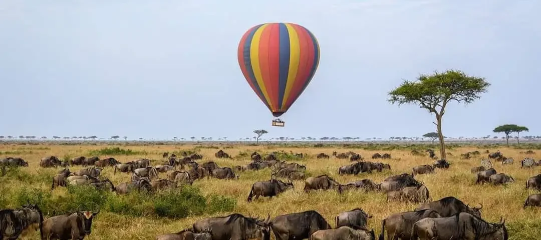 Fly-in Safaris in Kenya
