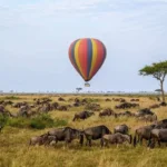 Fly-in Safaris in Kenya
