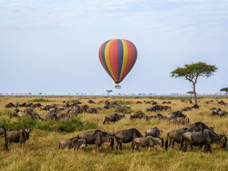 Fly-in Safaris in Kenya