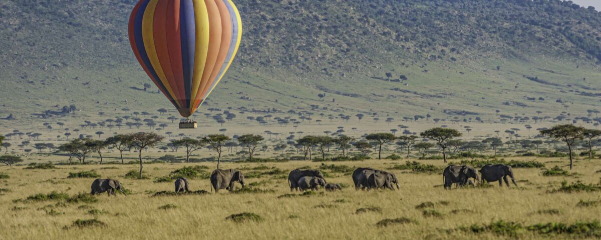 Fly in Safaris to Maasai Mara