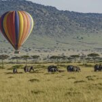 Fly in Safaris to Maasai Mara