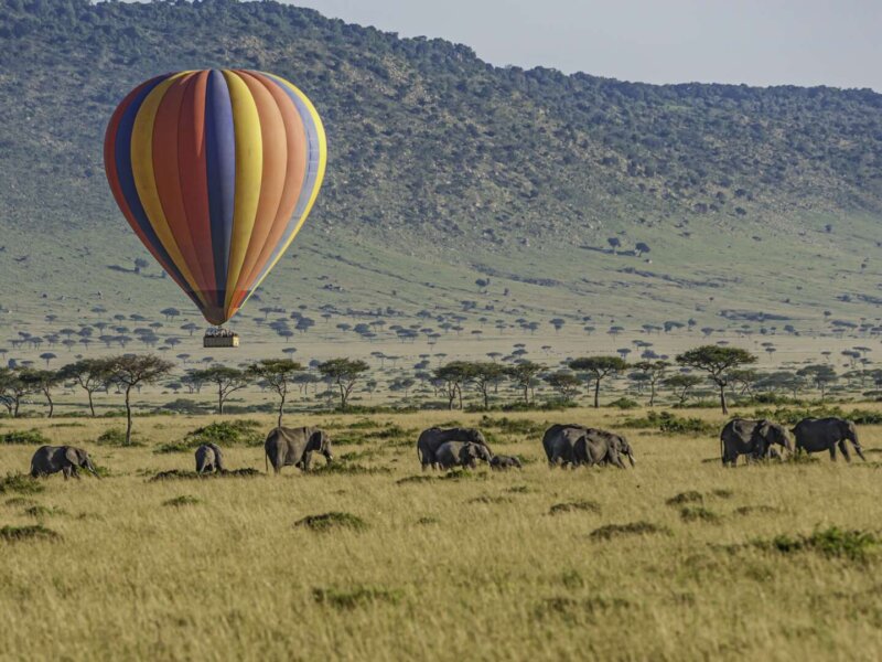 Fly in Safaris to Maasai Mara