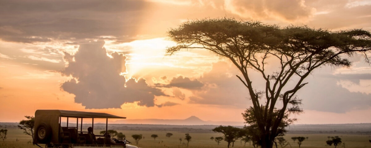 Tanzania Safari with Game Drives