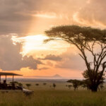 Tanzania Safari with Game Drives