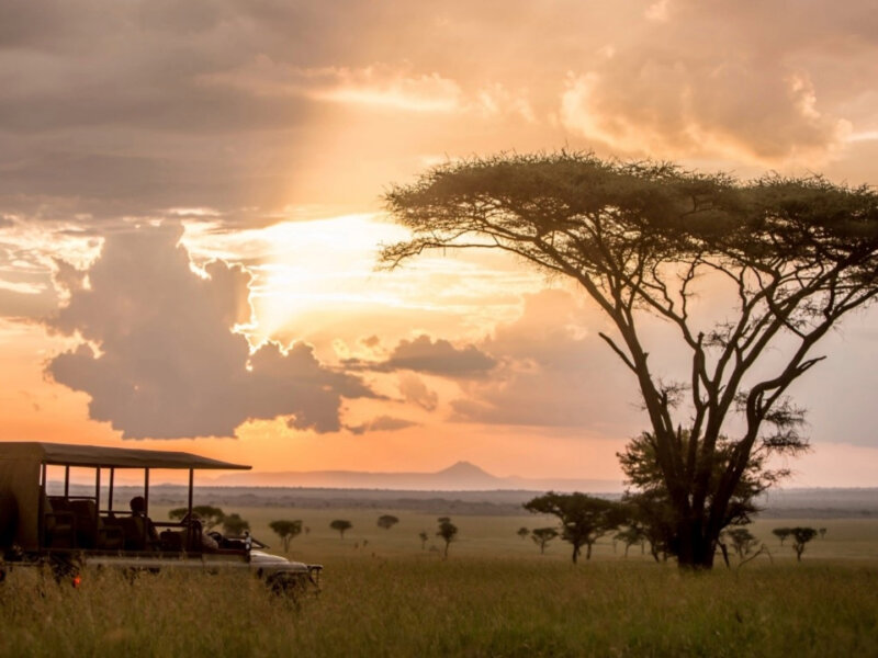Tanzania Safari with Game Drives