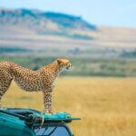 Group Tours in Maasai Mara