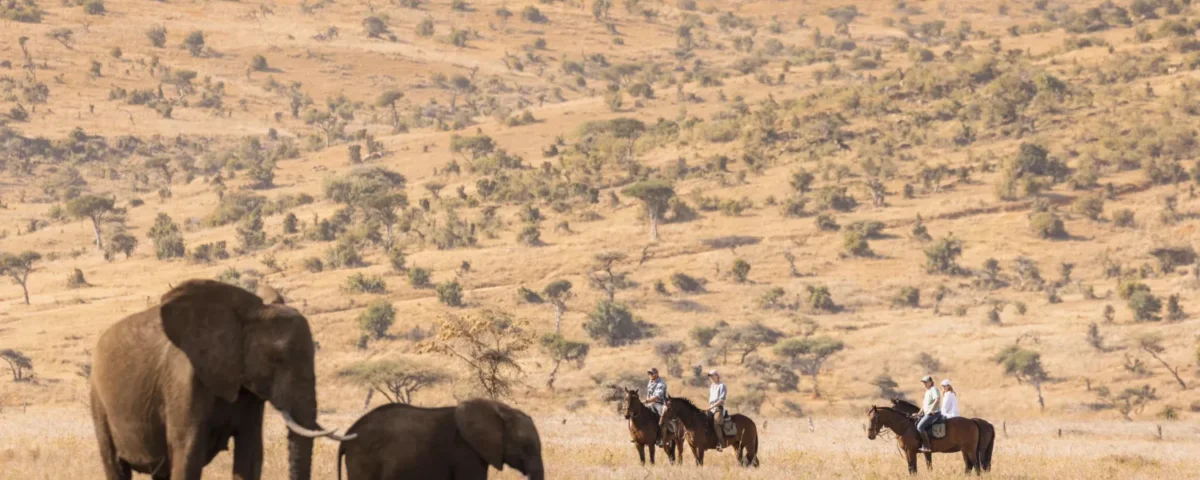 Tanzania Safari in Exclusive Conservancies