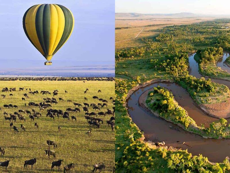 Hot Air Balloon in Maasai Mara