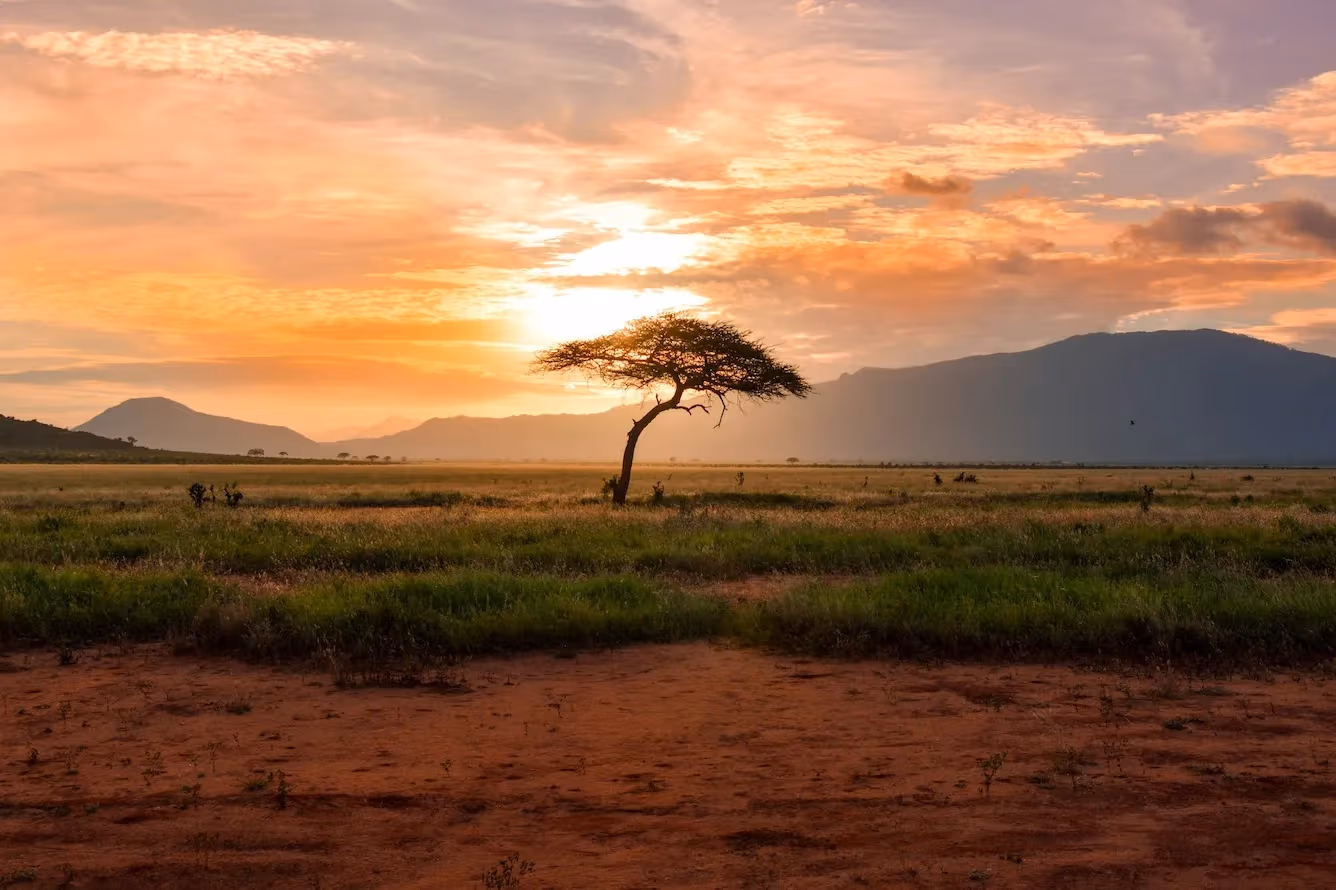 How Many Days Are Enough for Masai Mara?
