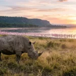 How Many Days Do You Need in Lake Nakuru?