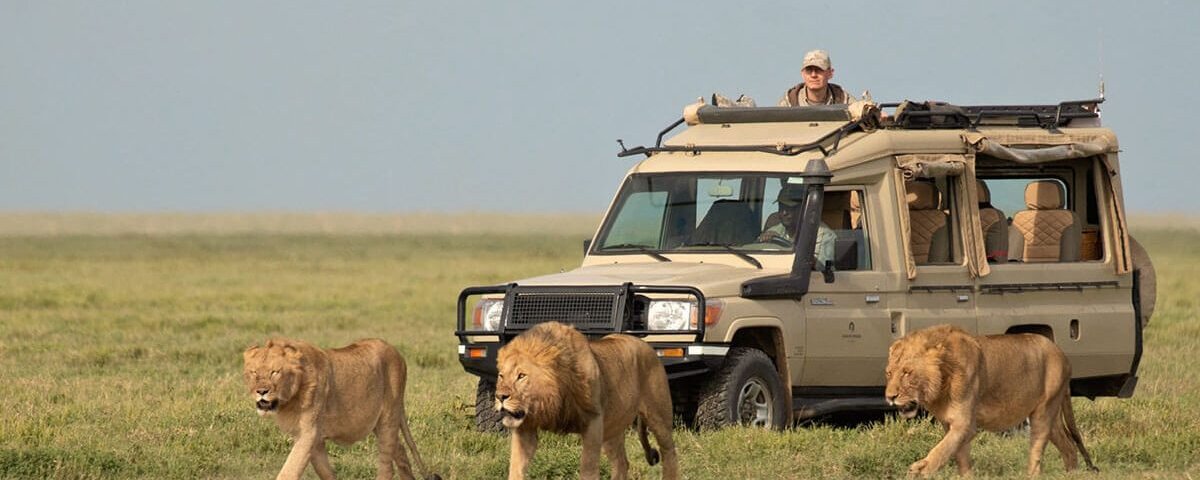Tanzania Volunteer Safari Tours