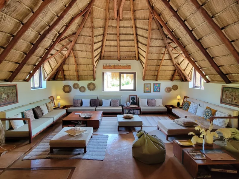 How much is a luxury safari?