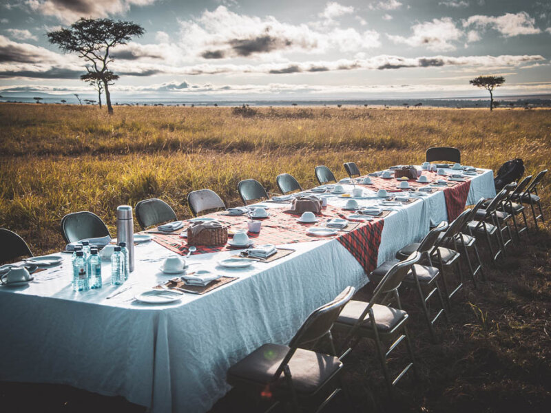 Kenya Bush Dining Experiences