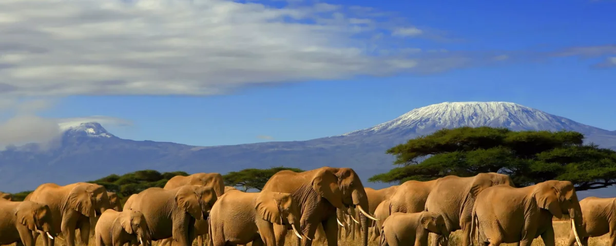 Kenya Cultural Regions Guide