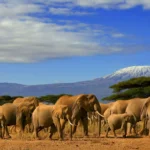 Kenya Cultural Regions Guide