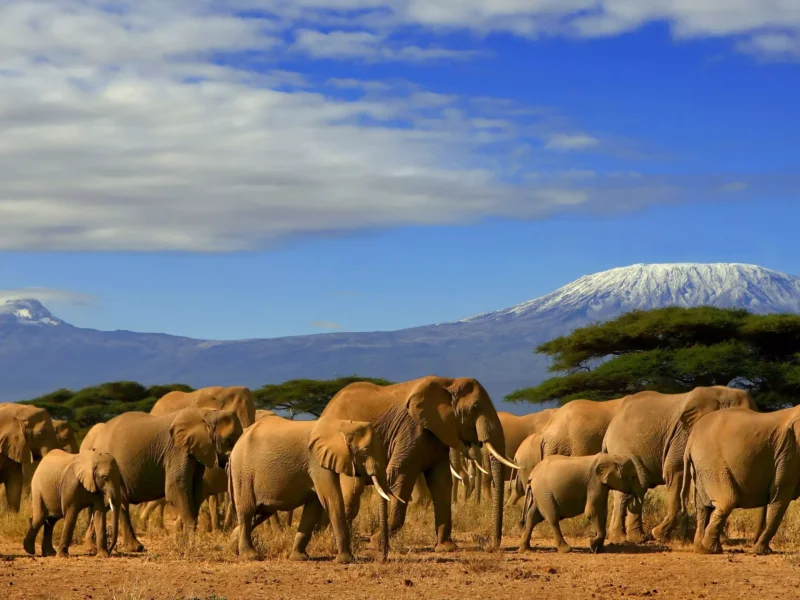 Kenya Cultural Regions Guide