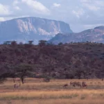 Kenya Map and Regions
