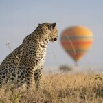 Kenya National Park Wildlife Differences