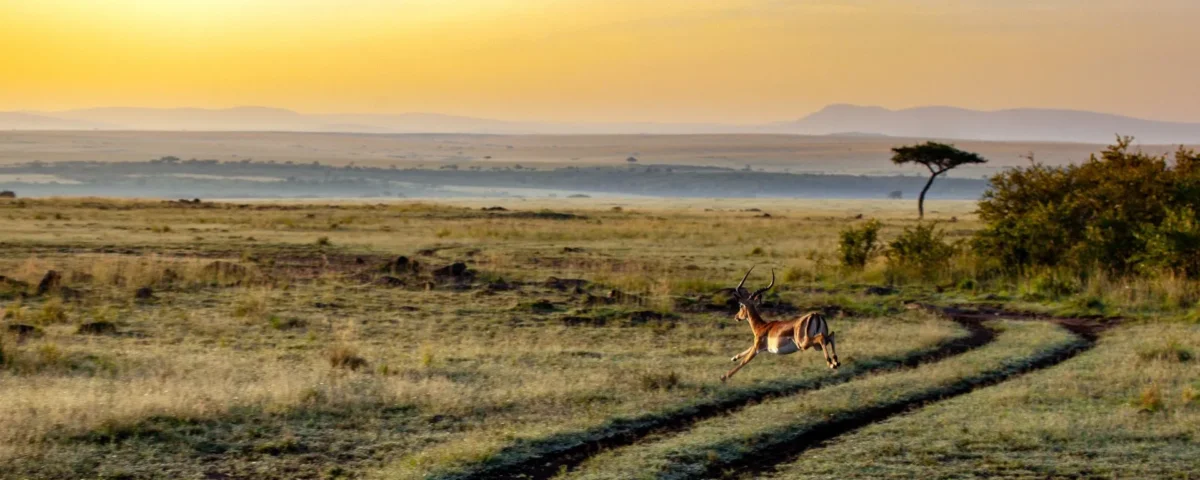 Kenya Off-Season Travel 