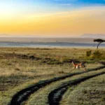 Kenya Off-Season Travel