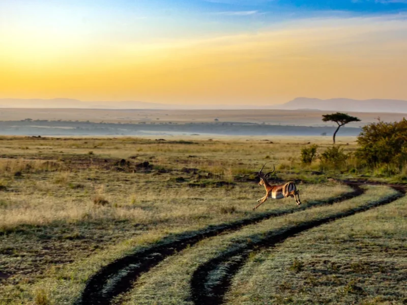 Kenya Off-Season Travel 