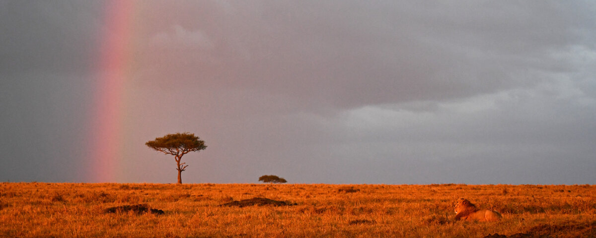 Kenya Regional Weather Guide