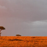 Kenya Regional Weather Guide