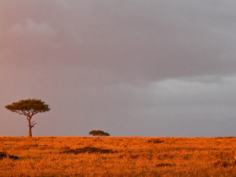 Kenya Regional Weather Guide
